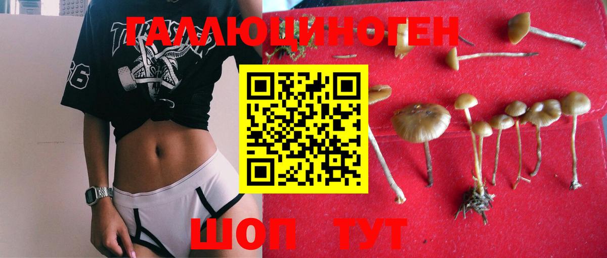 Туймазы  Галлюциногенные грибы Psilocybe  Вход с VPN 