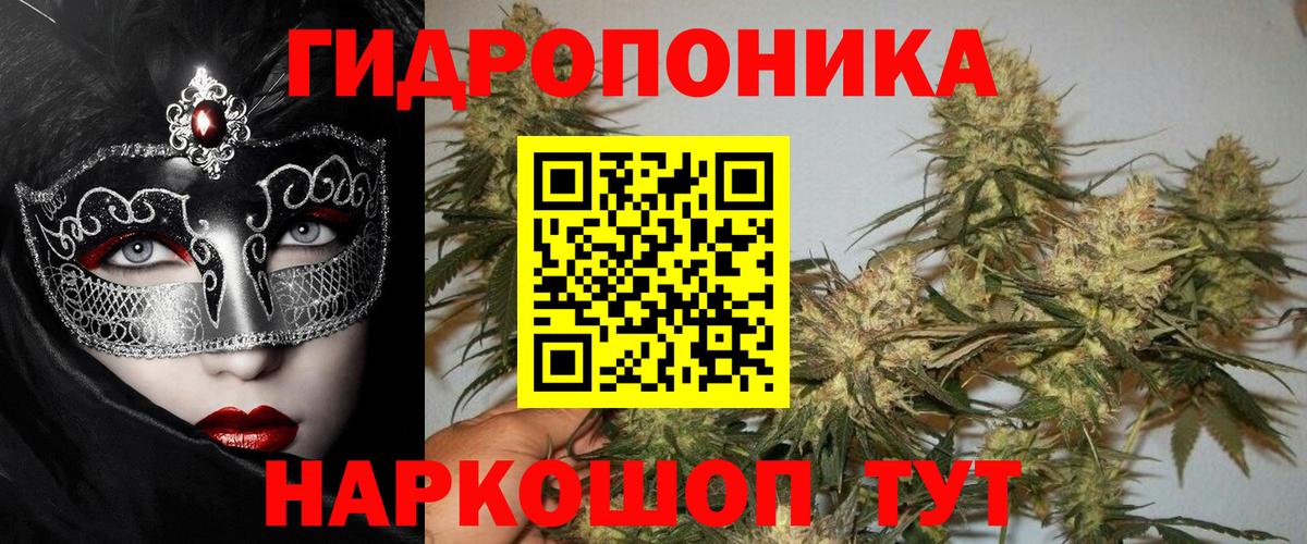Туймазы  Канабис OG Kush  Вход с VPN  Конопля Ganja 